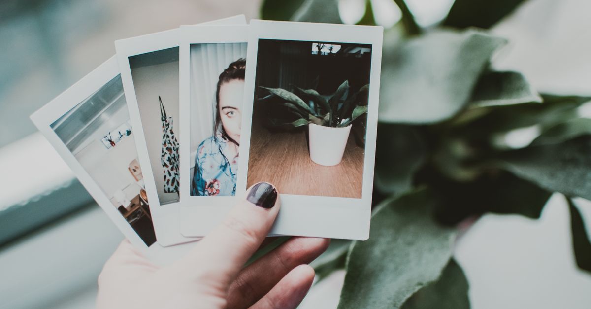 add border to image in canva