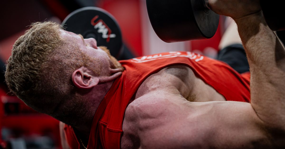 calculate macros for muscle gain