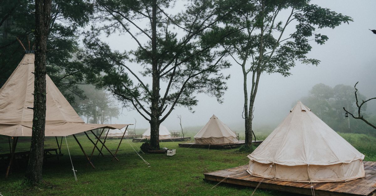 can a tree pair with a diagonal tent when i play tents puzzle