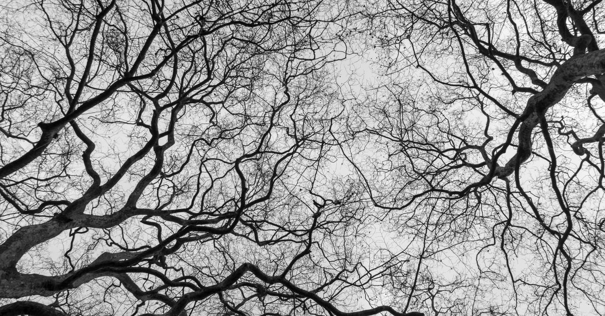 can weights be negative when using minimum spanning tree solver