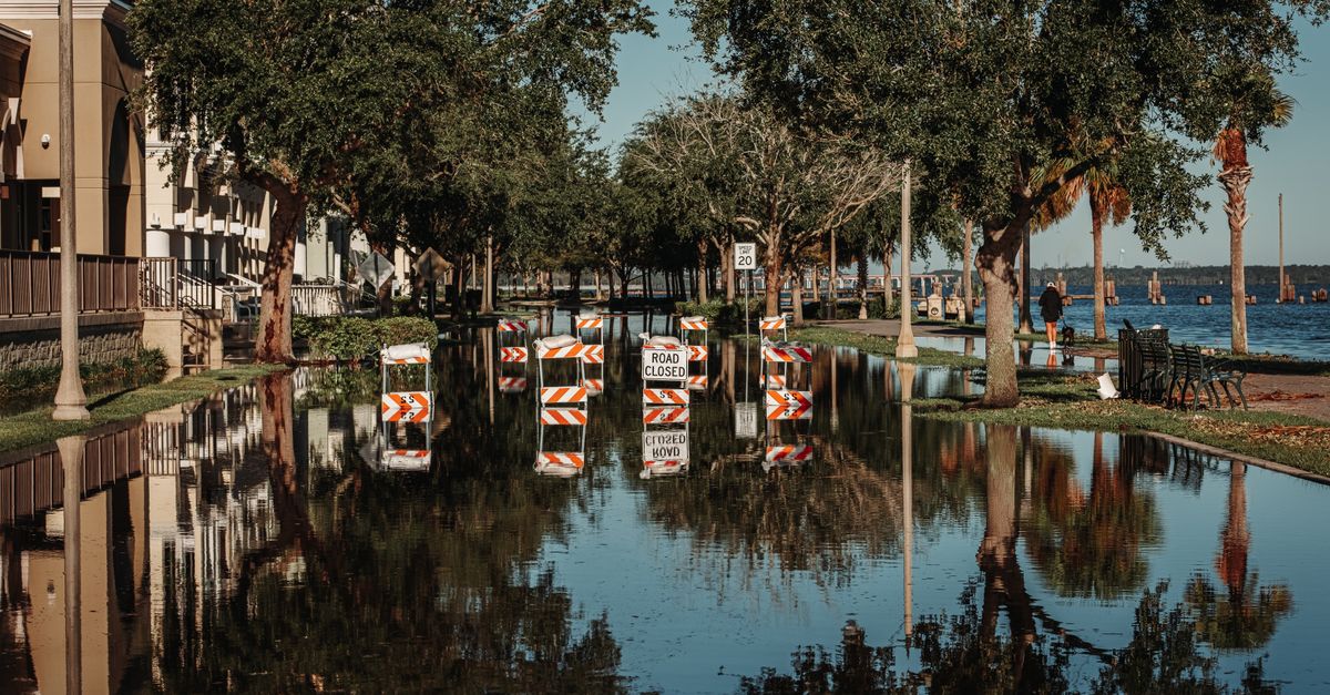 can you play flood it without downloading
