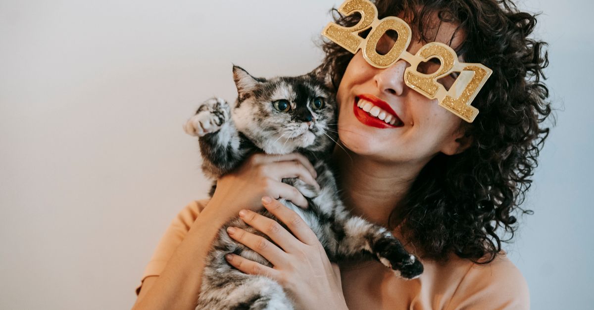 how to calculate cat age in cat years