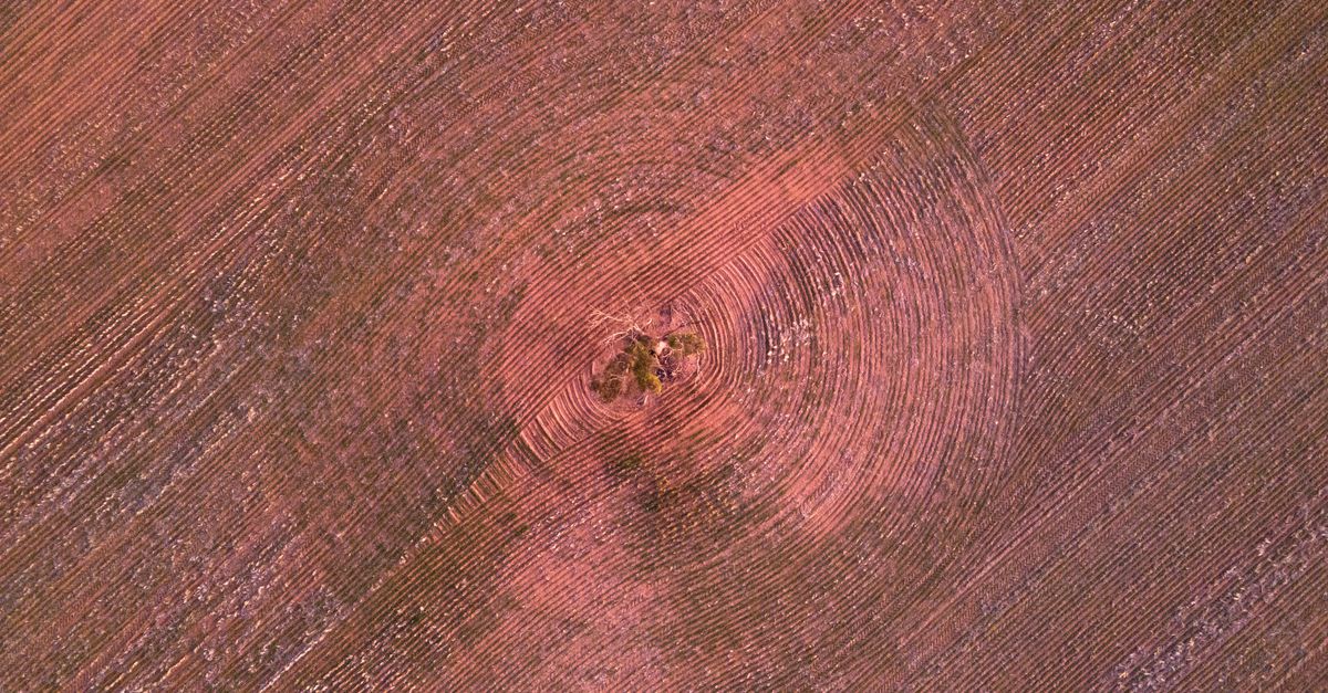 circle crop alternative