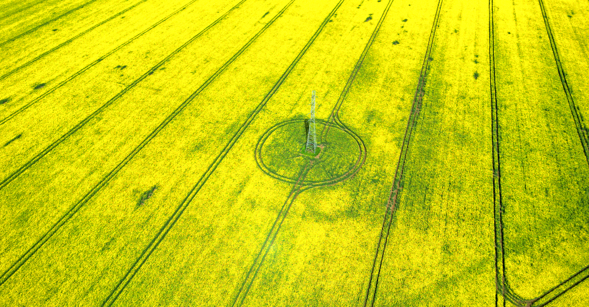 circle crop bulk multiple images