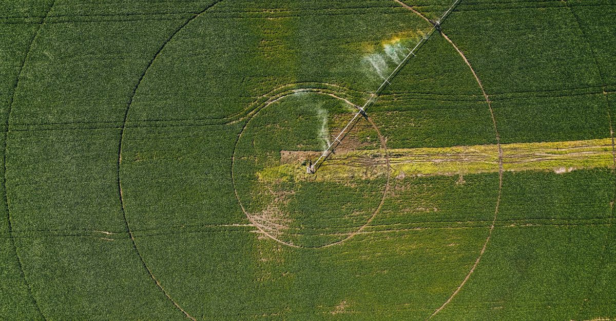 circle crop for email attachment