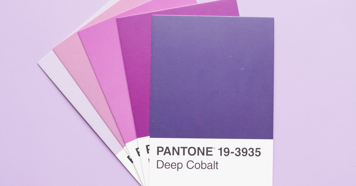 color palette generator for web design