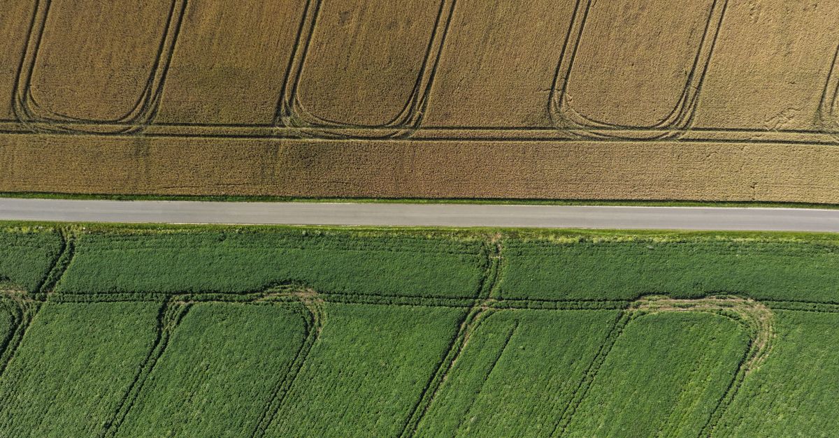 how do i compare approaches to use average color from image