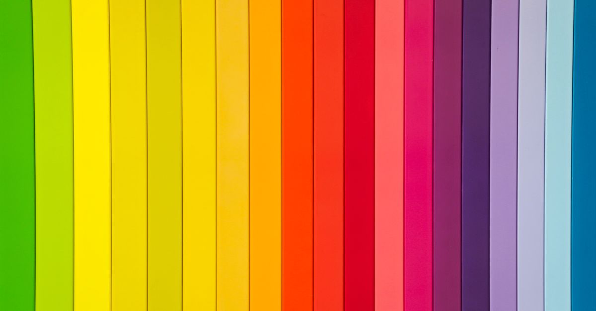 create color palette for website