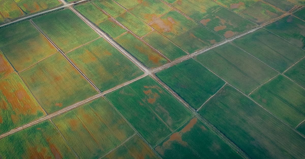 crop image explained