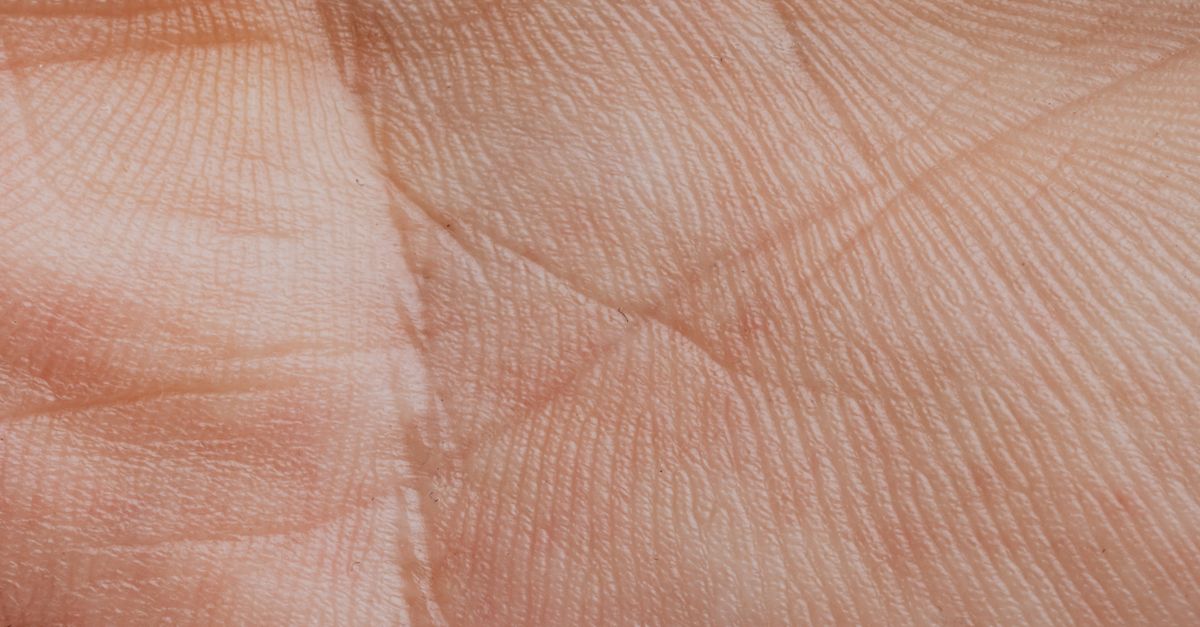 does palm line diagram read a photo of my palm