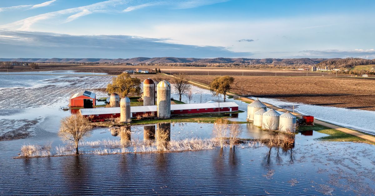 flood fill game online