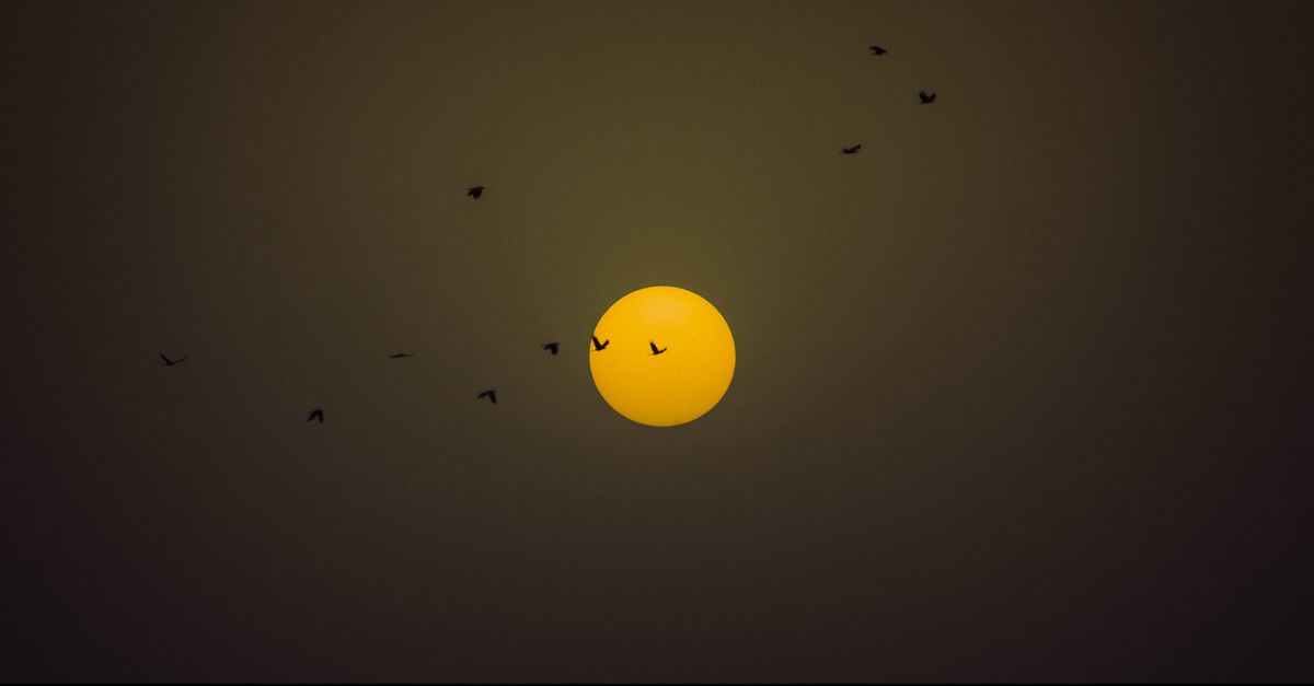 how to determine hemisphere by sun