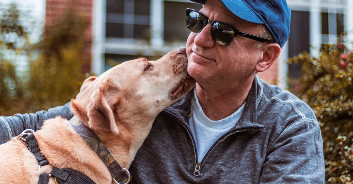 how to calculate dog age compared to human
