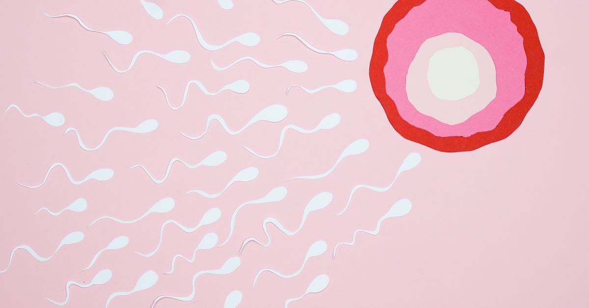how to calculate ovulation and fertile window