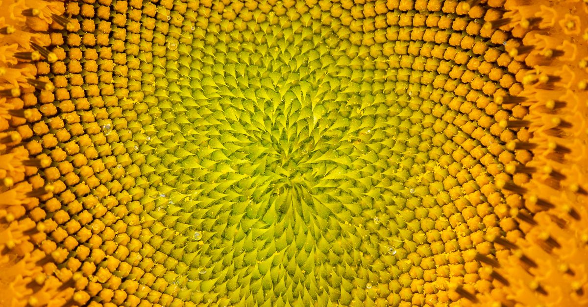 how to create fibonacci sequence in excel
