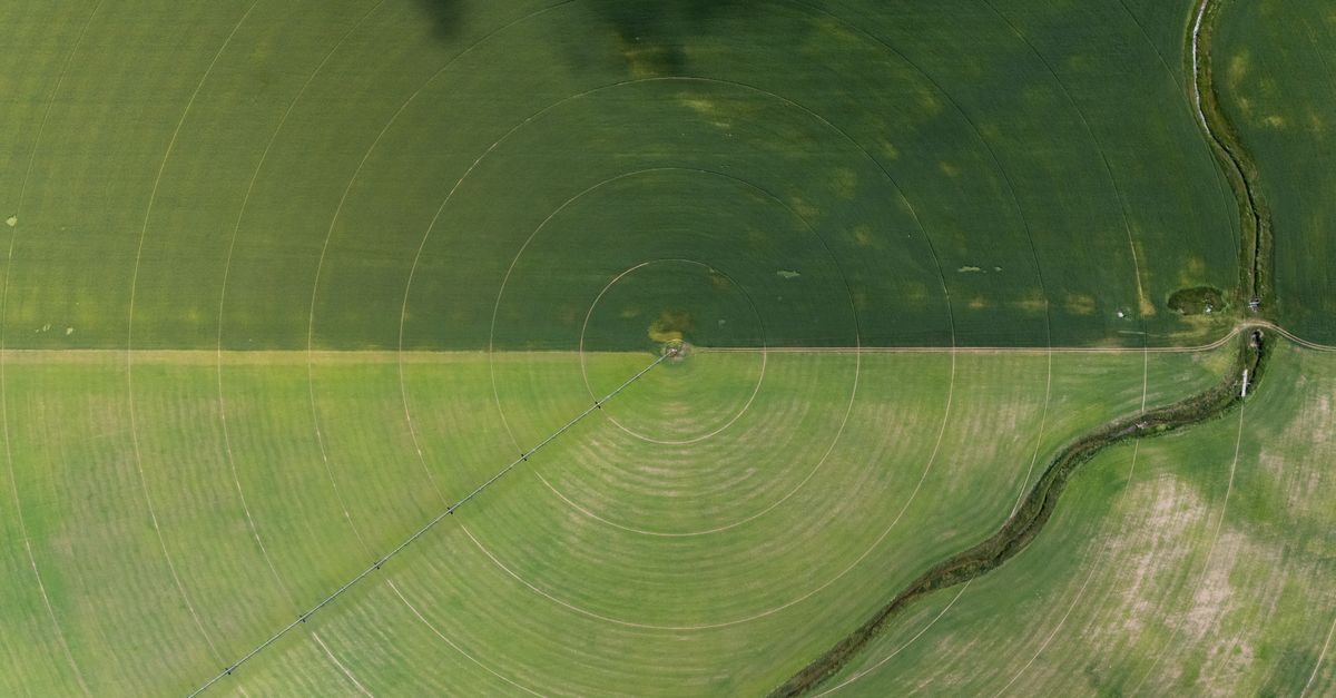 how do i crop a picture to a circle