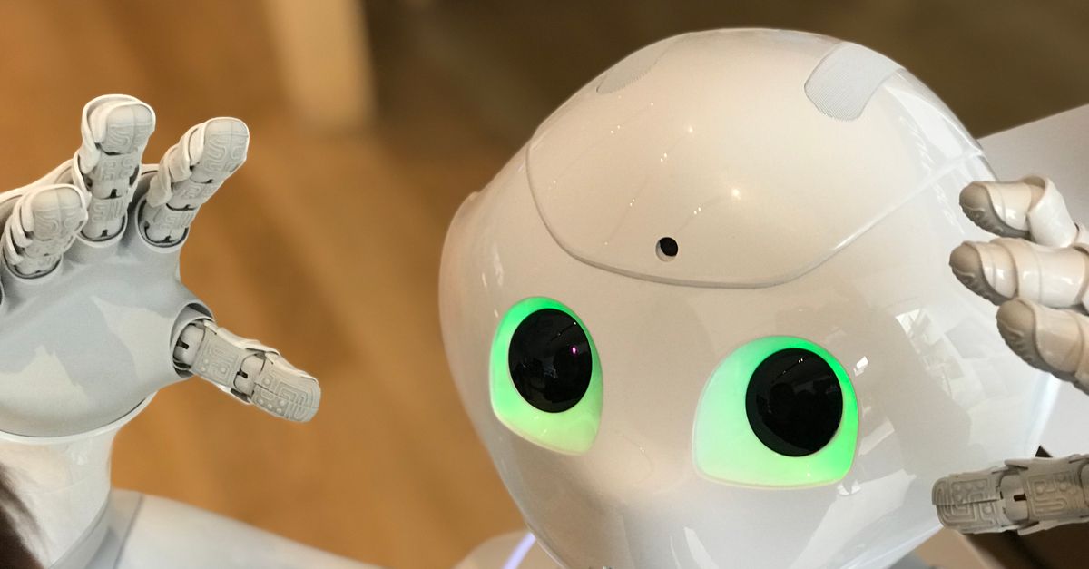 how to get robots txt