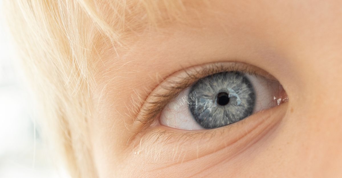 how to predict child's eye color