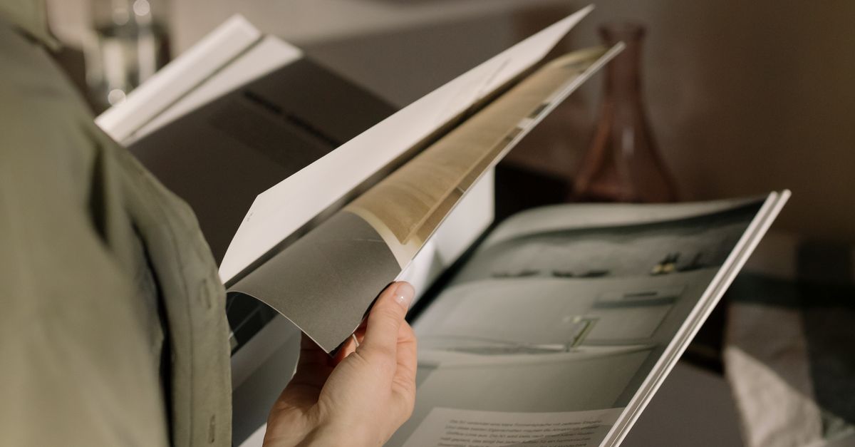 can i use flip mirror pdf flip pdf pages in my browser