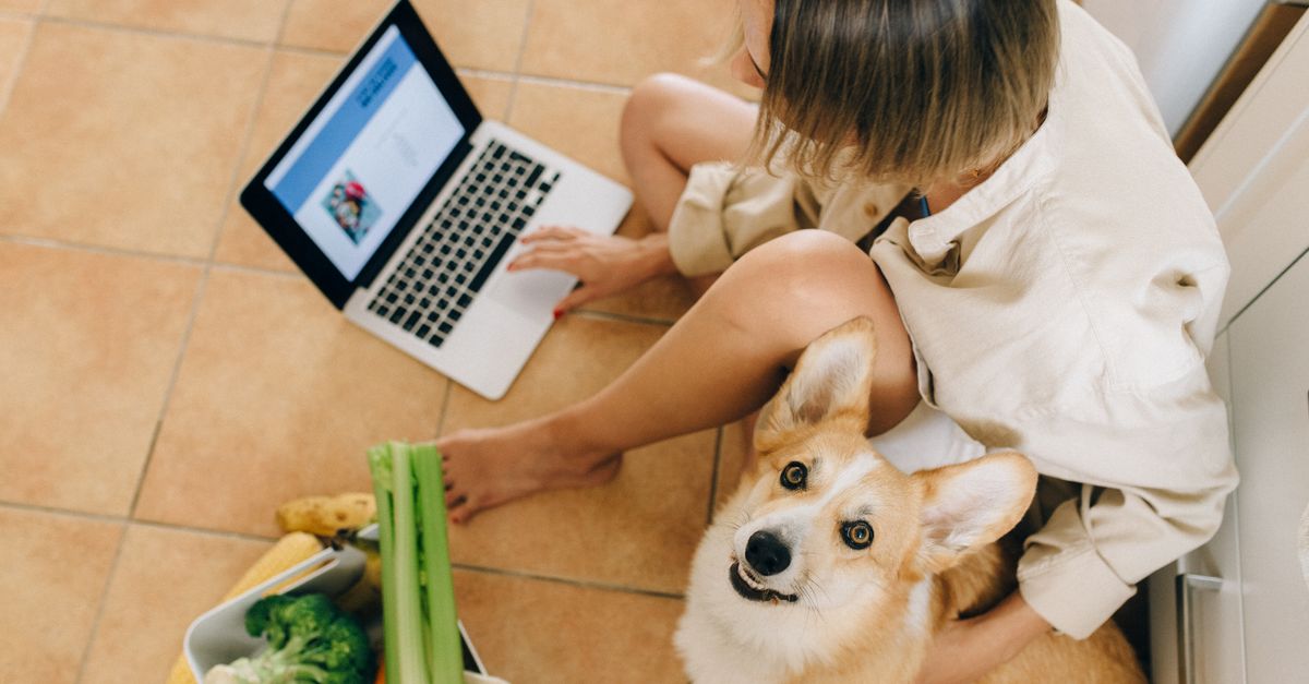 how to use walmart online grocery shopping