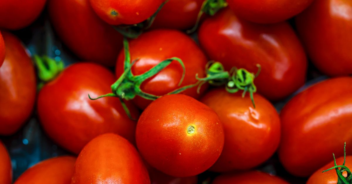 pomodoro technique timer