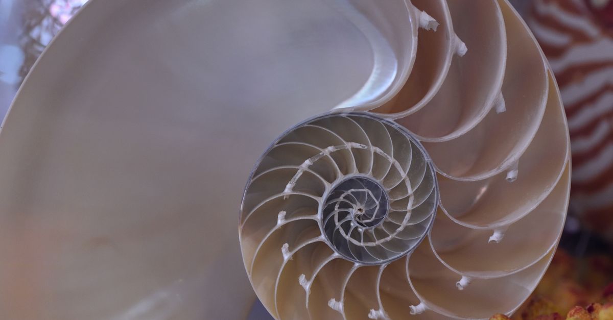 print fibonacci sequence in java