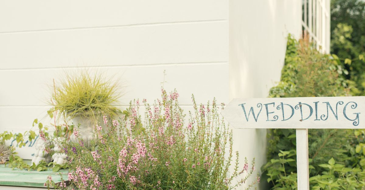 venus sign vs venus house