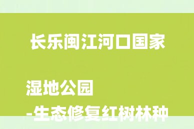 长乐闽江河口国家湿地公园
-生态修复红树林种植方案？-图1